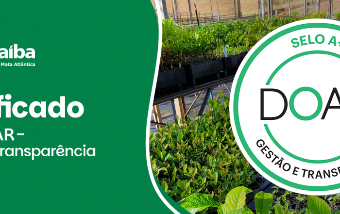 Certificado A+