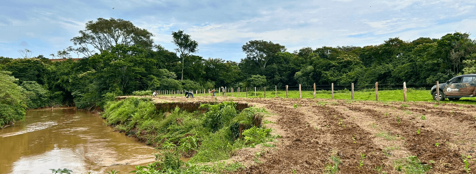 Blog restauração Ecológica