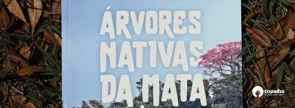 lançamento da cartilha