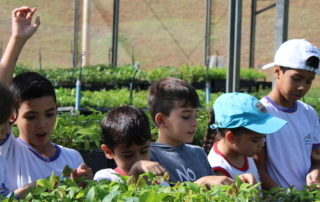educação ambiental