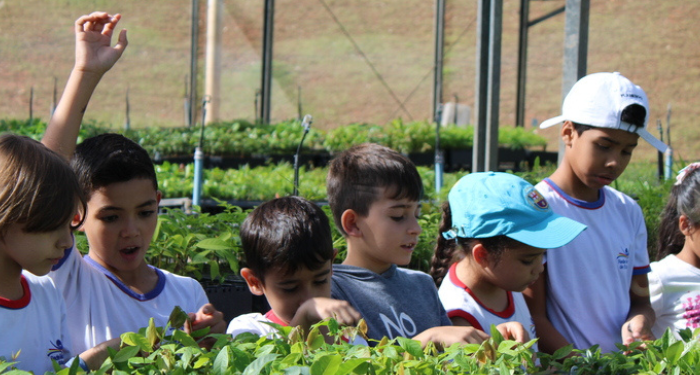 educação ambiental