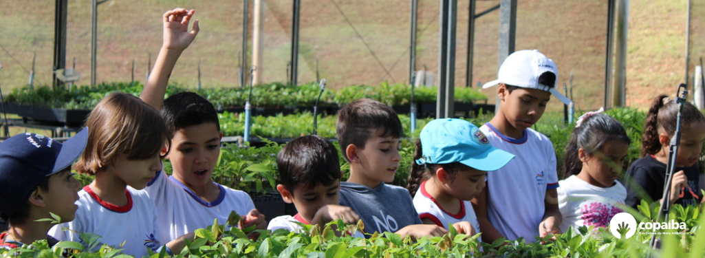 educação ambiental