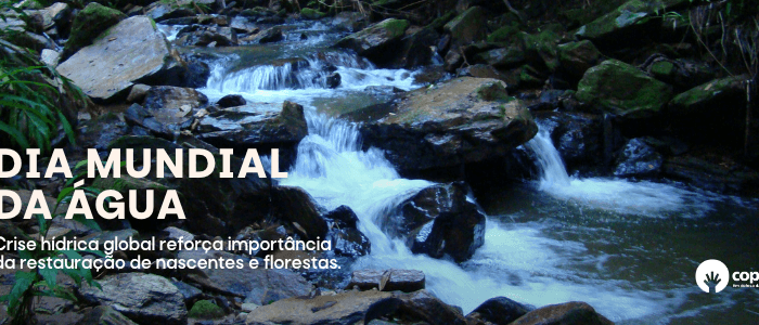 Dia Mundial da Água