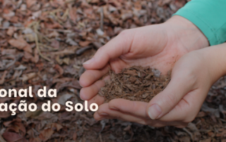 conservação do solo