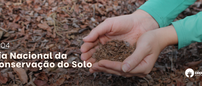 conservação do solo