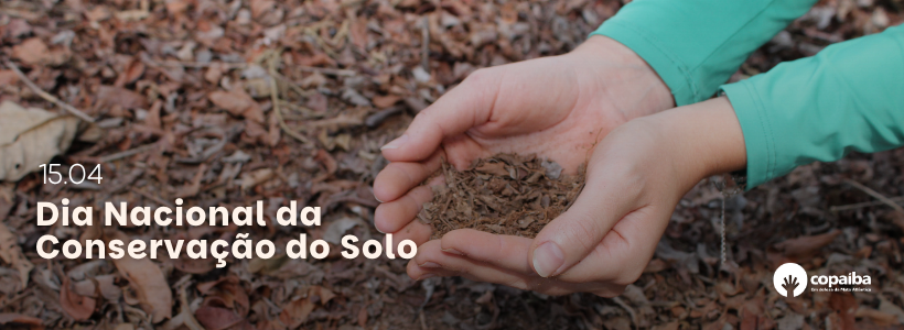 conservação do solo