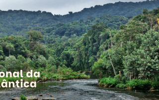 Mata Atlântica