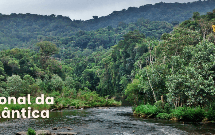Mata Atlântica