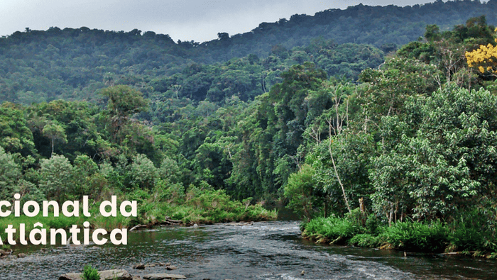 Mata Atlântica
