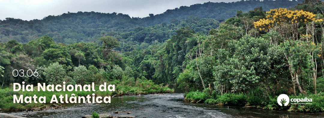 Mata Atlântica