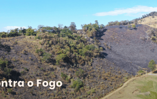 incêndios